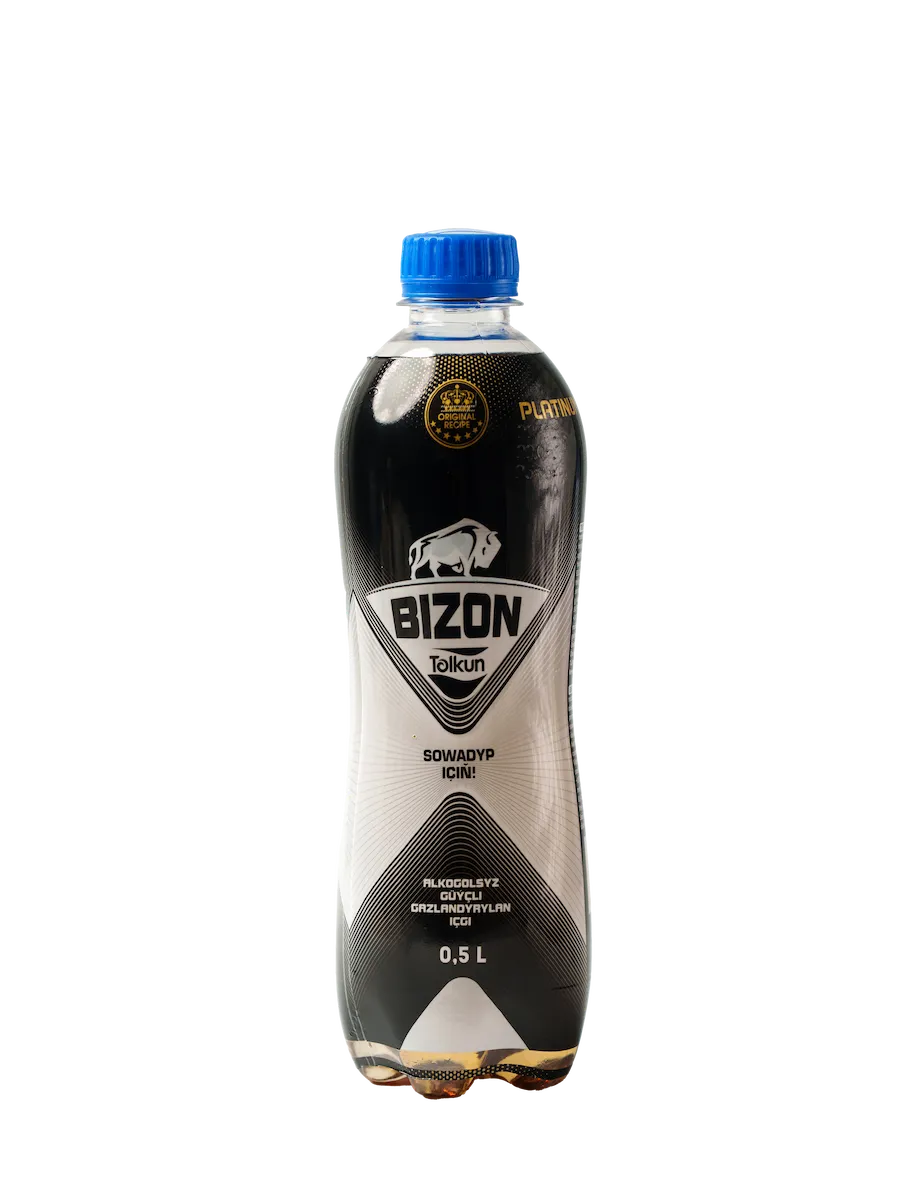 Tolkun BIZON